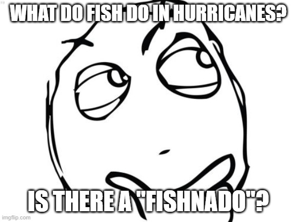 Fishnado? | WHAT DO FISH DO IN HURRICANES? IS THERE A "FISHNADO"? | image tagged in memes,question rage face | made w/ Imgflip meme maker