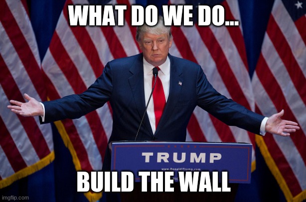 Donald Trump | WHAT DO WE DO... BUILD THE WALL | image tagged in donald trump | made w/ Imgflip meme maker