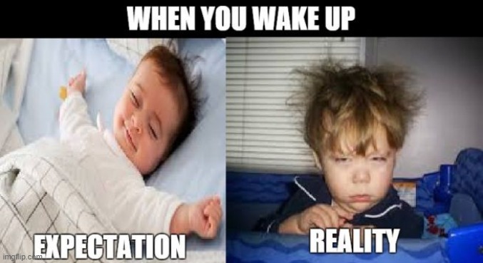 image tagged in expectation vs reality,sleep | made w/ Imgflip meme maker