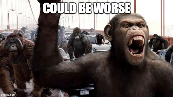 Planet of the apes | COULD BE WORSE | image tagged in planet of the apes | made w/ Imgflip meme maker
