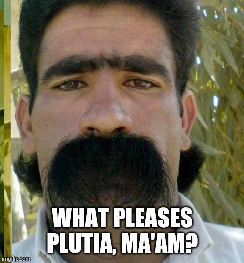 Moustache | WHAT PLEASES PLUTIA, MA'AM? | image tagged in moustache | made w/ Imgflip meme maker