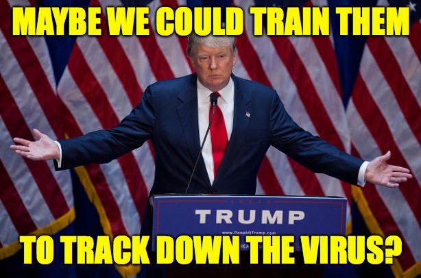 Donald Trump | MAYBE WE COULD TRAIN THEM TO TRACK DOWN THE VIRUS? | image tagged in donald trump | made w/ Imgflip meme maker