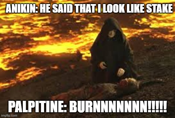 Anikin Burn | ANIKIN: HE SAID THAT I LOOK LIKE STAKE; PALPITINE: BURNNNNNNN!!!!! | image tagged in anikin burn | made w/ Imgflip meme maker