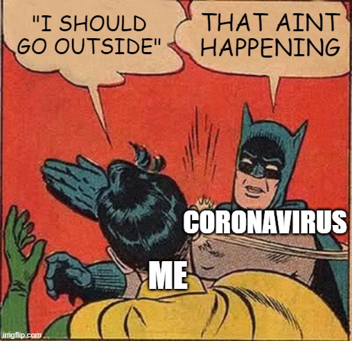 When you want to go outside | "I SHOULD GO OUTSIDE"; THAT AINT HAPPENING; CORONAVIRUS; ME | image tagged in memes,batman slapping robin | made w/ Imgflip meme maker
