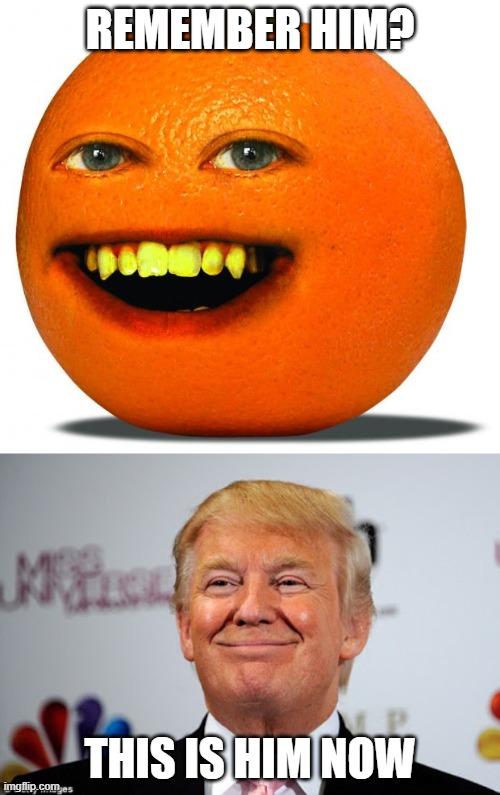 Donald Trump is the new annoying orange!!! Orange Man Theme Week - May 3rd - May 10th - A DrSarcasm and ArcMis event | REMEMBER HIM? THIS IS HIM NOW | image tagged in annoying orange,donald trump approves | made w/ Imgflip meme maker