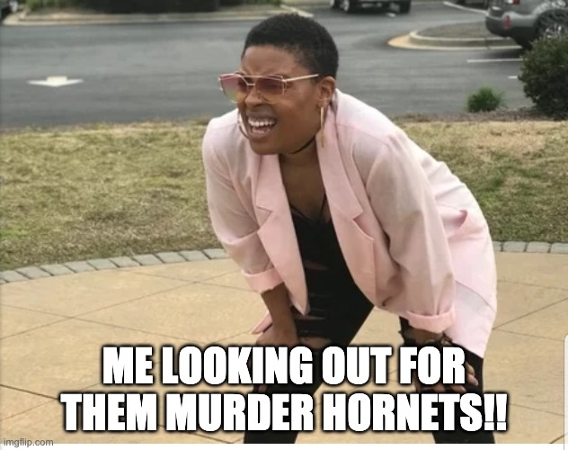 Me looking out for them Murder Hornets | ME LOOKING OUT FOR THEM MURDER HORNETS!! | image tagged in me looking for | made w/ Imgflip meme maker