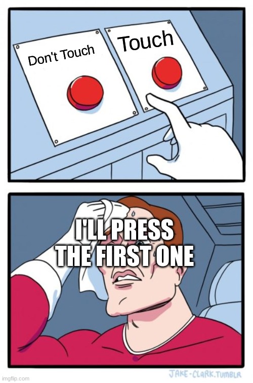 Two Buttons | Touch; Don't Touch; I'LL PRESS THE FIRST ONE | image tagged in memes,two buttons | made w/ Imgflip meme maker