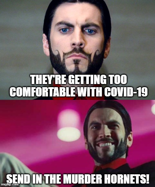 Hunger Games 2020 | THEY'RE GETTING TOO COMFORTABLE WITH COVID-19; SEND IN THE MURDER HORNETS! | image tagged in murder hornets,covid-19,hunger games | made w/ Imgflip meme maker