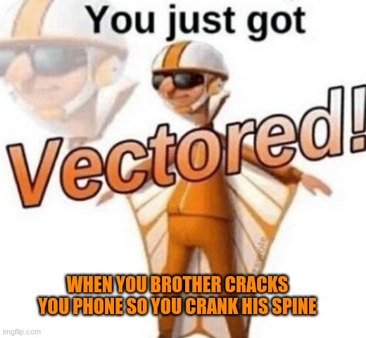 You just got vectored | WHEN YOU BROTHER CRACKS YOU PHONE SO YOU CRANK HIS SPINE | image tagged in you just got vectored | made w/ Imgflip meme maker