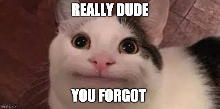 Cat | REALLY DUDE; YOU FORGOT | image tagged in funny | made w/ Imgflip meme maker