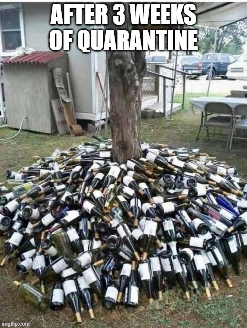 3 weeks of Quarantine | AFTER 3 WEEKS OF QUARANTINE | image tagged in wine,bottles | made w/ Imgflip meme maker