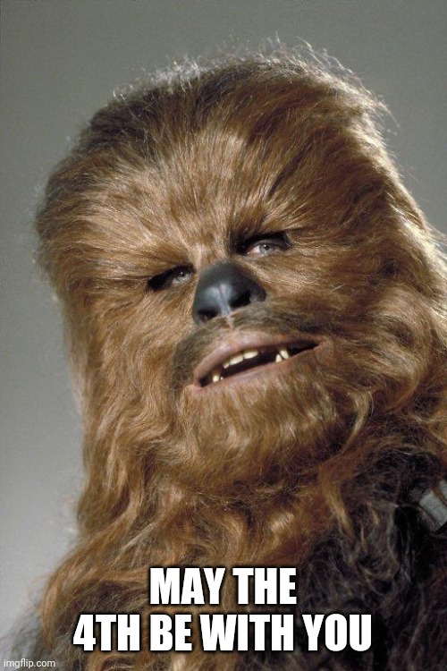 wookie | MAY THE 4TH BE WITH YOU | image tagged in wookie | made w/ Imgflip meme maker