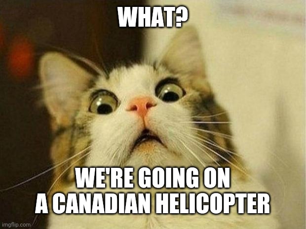 Scared Cat Meme | WHAT? WE'RE GOING ON A CANADIAN HELICOPTER | image tagged in memes,scared cat | made w/ Imgflip meme maker