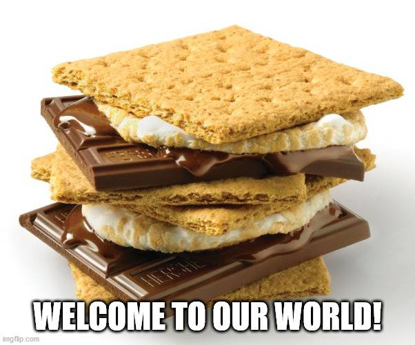 smores | WELCOME TO OUR WORLD! | image tagged in smores | made w/ Imgflip meme maker