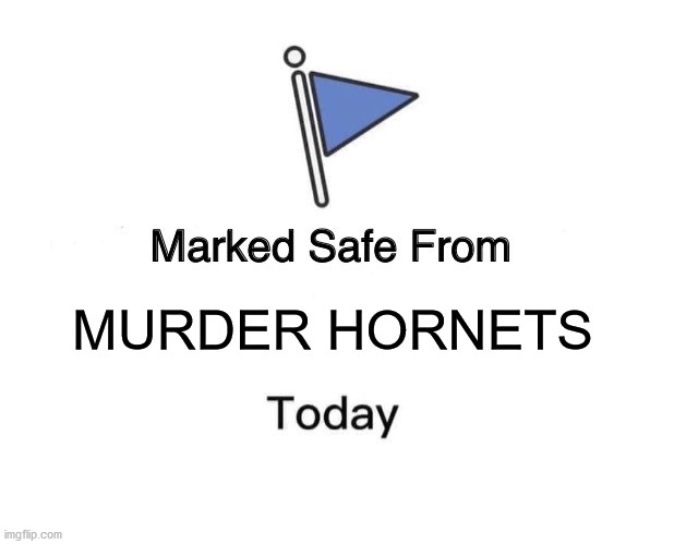 Marked Safe From Meme | MURDER HORNETS | image tagged in memes,marked safe from | made w/ Imgflip meme maker