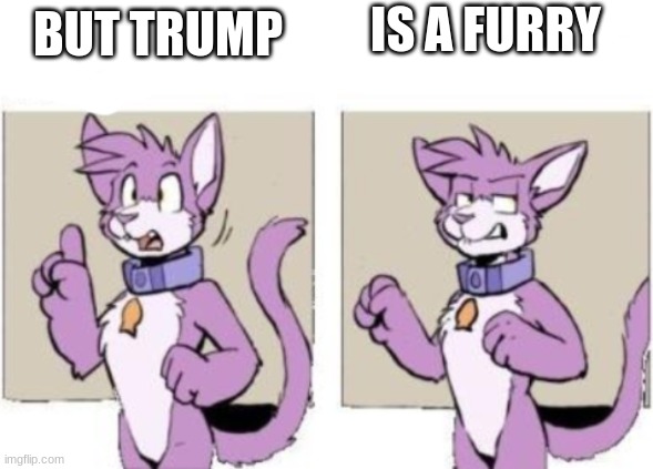 BUT TRUMP IS A FURRY | made w/ Imgflip meme maker