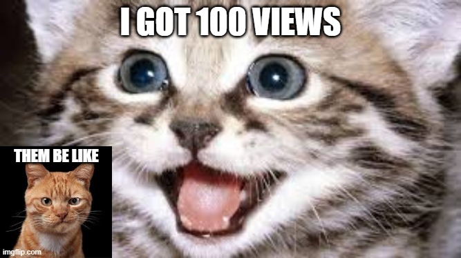Happy Cat | I GOT 100 VIEWS; THEM BE LIKE | image tagged in cats | made w/ Imgflip meme maker
