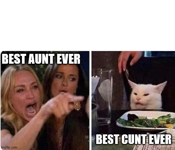 Lady screams at cat | BEST AUNT EVER BEST CUNT EVER | image tagged in lady screams at cat | made w/ Imgflip meme maker