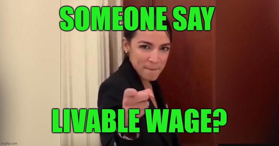 SOMEONE SAY LIVABLE WAGE? | made w/ Imgflip meme maker