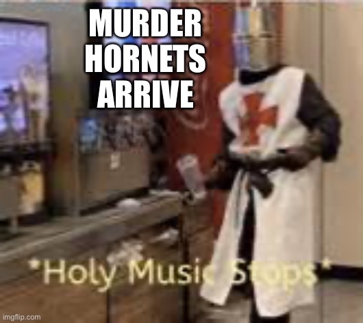 MURDER HORNETS ARRIVE | made w/ Imgflip meme maker