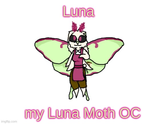 Luna; my Luna Moth OC | made w/ Imgflip meme maker