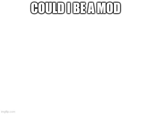 Blank White Template | COULD I BE A MOD | image tagged in blank white template | made w/ Imgflip meme maker