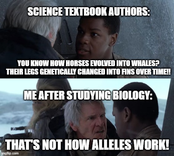 I think Han Solo has a problem with our "science." | SCIENCE TEXTBOOK AUTHORS:; YOU KNOW HOW HORSES EVOLVED INTO WHALES? THEIR LEGS GENETICALLY CHANGED INTO FINS OVER TIME!! ME AFTER STUDYING BIOLOGY:; THAT'S NOT HOW ALLELES WORK! | image tagged in that's not how the force works,han solo,animals,science,evolution | made w/ Imgflip meme maker