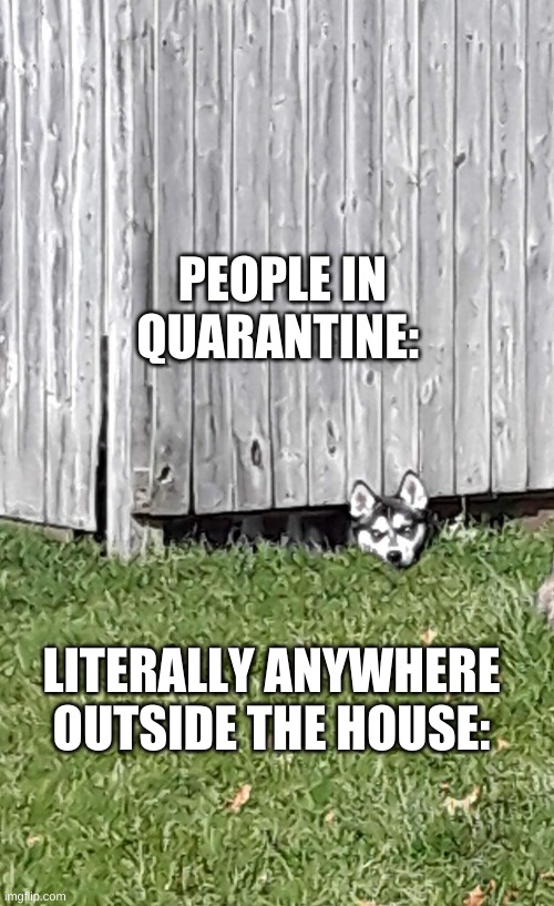 PEOPLE IN QUARANTINE:; LITERALLY ANYWHERE OUTSIDE THE HOUSE: | image tagged in quarantine | made w/ Imgflip meme maker
