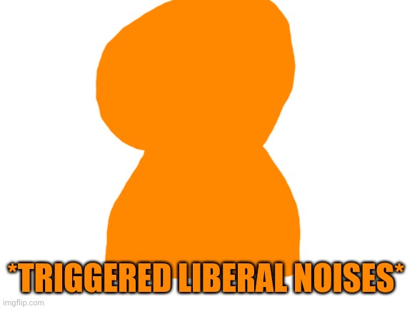 *Triggered liberal noises* | *TRIGGERED LIBERAL NOISES* | image tagged in blank white template,orange,liberals | made w/ Imgflip meme maker