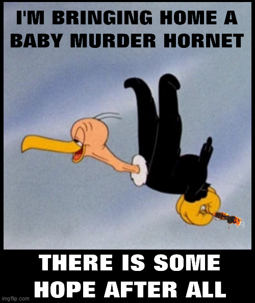Little Killer gets a murder hornet | image tagged in beaky buzzard,bugs bunny,murder hornet,hornet,merrie melodies,looney tunes | made w/ Imgflip meme maker