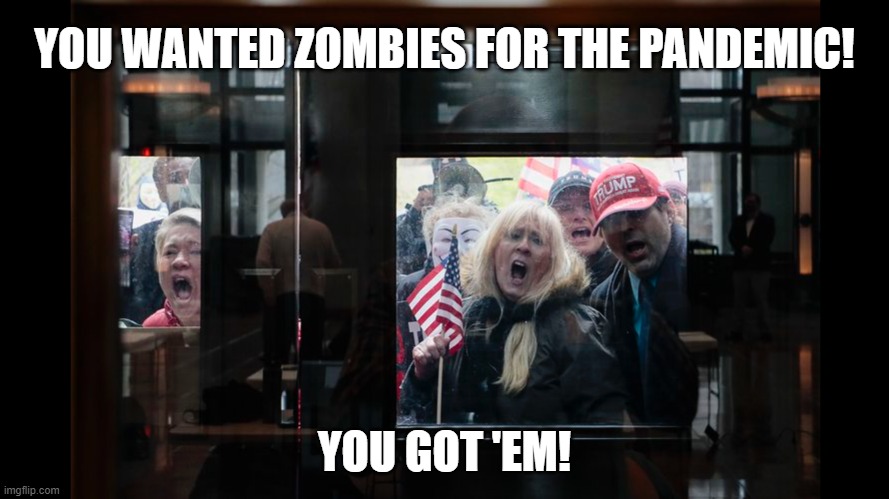Pandemic Zombies | YOU WANTED ZOMBIES FOR THE PANDEMIC! YOU GOT 'EM! | image tagged in pandemic protesters | made w/ Imgflip meme maker