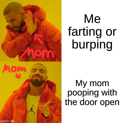 Moms | Me farting or burping; My mom pooping with the door open | image tagged in memes,drake hotline bling | made w/ Imgflip meme maker