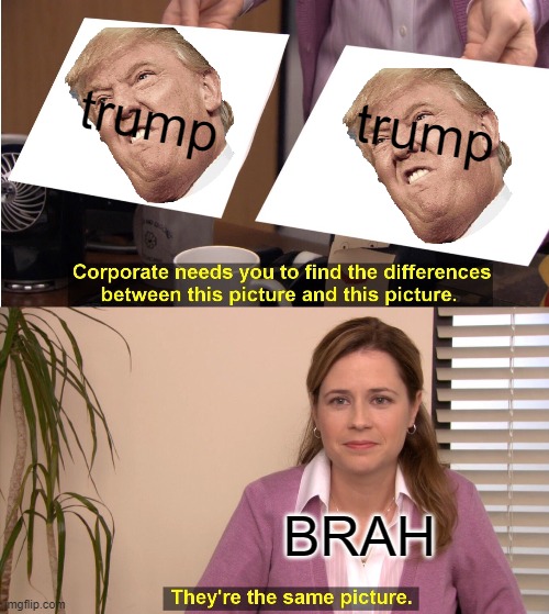 They're The Same Picture | trump; trump; BRAH | image tagged in memes,they're the same picture | made w/ Imgflip meme maker