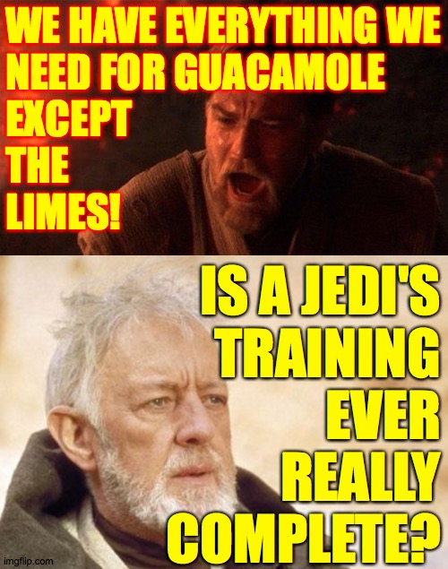 I say no. | WE HAVE EVERYTHING WE
NEED FOR GUACAMOLE
EXCEPT
THE
LIMES! IS A JEDI'S
TRAINING
EVER
REALLY
COMPLETE? | image tagged in memes,obi wan kenobi,you were the chosen one star wars | made w/ Imgflip meme maker