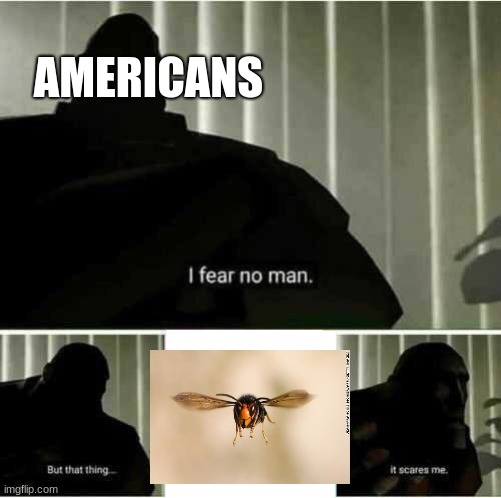 these things got to U.S | AMERICANS | image tagged in i fear no man,memes,2020,this year cant get even worse | made w/ Imgflip meme maker