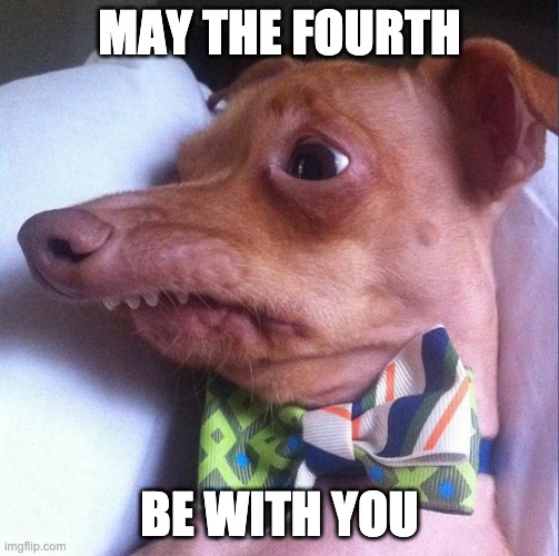 Tuna the dog (Phteven) | MAY THE FOURTH; BE WITH YOU | image tagged in tuna the dog phteven | made w/ Imgflip meme maker