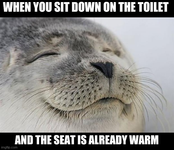 Imagine this actually happening tho | WHEN YOU SIT DOWN ON THE TOILET; AND THE SEAT IS ALREADY WARM | image tagged in memes,satisfied seal | made w/ Imgflip meme maker
