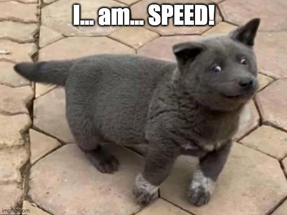 The Oh No Dui Dog | I... am... SPEED! | image tagged in the oh no dui dog | made w/ Imgflip meme maker