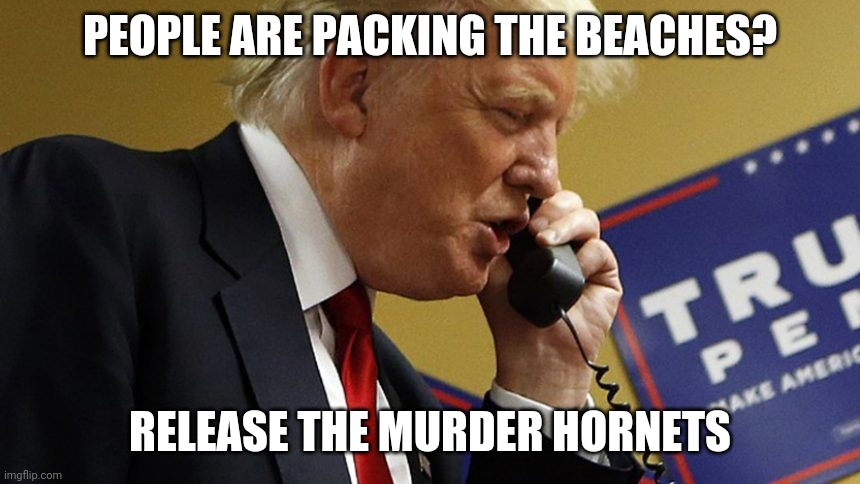 That'll teach those pesky beachgoers | PEOPLE ARE PACKING THE BEACHES? RELEASE THE MURDER HORNETS | image tagged in trump phone | made w/ Imgflip meme maker