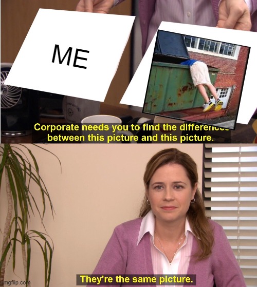 They're The Same Picture | ME | image tagged in memes,they're the same picture | made w/ Imgflip meme maker