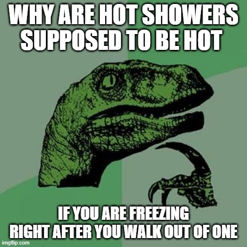 Philosoraptor | WHY ARE HOT SHOWERS SUPPOSED TO BE HOT; IF YOU ARE FREEZING RIGHT AFTER YOU WALK OUT OF ONE | image tagged in memes,philosoraptor | made w/ Imgflip meme maker