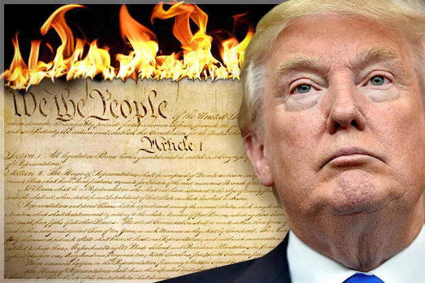 High Quality Trump Constitution Blank Meme Template