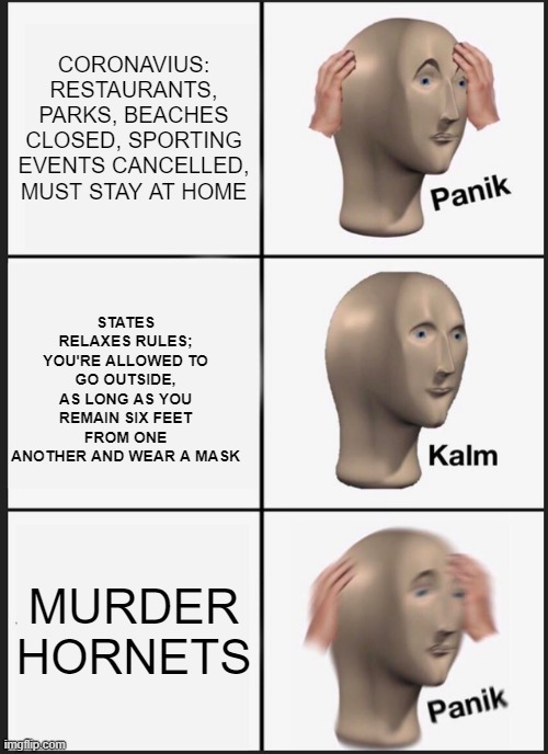 Panik Kalm Panik Meme | CORONAVIUS: RESTAURANTS, PARKS, BEACHES CLOSED, SPORTING EVENTS CANCELLED, MUST STAY AT HOME; STATES RELAXES RULES; YOU'RE ALLOWED TO GO OUTSIDE, AS LONG AS YOU REMAIN SIX FEET FROM ONE ANOTHER AND WEAR A MASK; MURDER HORNETS | image tagged in memes,panik kalm panik | made w/ Imgflip meme maker
