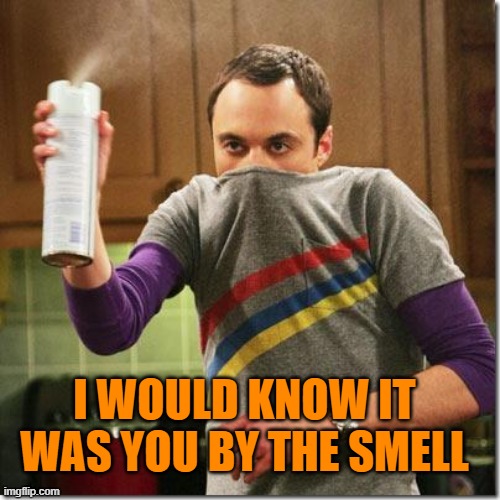 air freshener sheldon cooper | I WOULD KNOW IT WAS YOU BY THE SMELL | image tagged in air freshener sheldon cooper | made w/ Imgflip meme maker