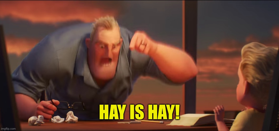 math is math | HAY IS HAY! | image tagged in math is math | made w/ Imgflip meme maker