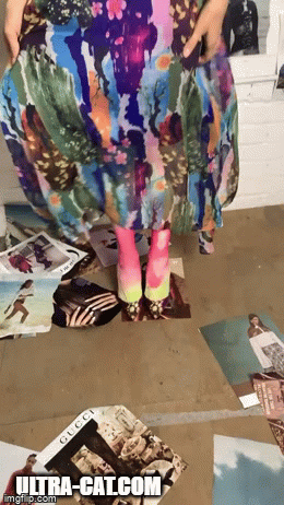 ULTRA-CAT.COM | image tagged in gifs | made w/ Imgflip video-to-gif maker