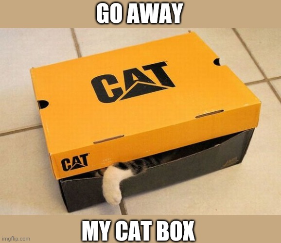 CAT BOX | GO AWAY; MY CAT BOX | image tagged in cats,funny cats | made w/ Imgflip meme maker