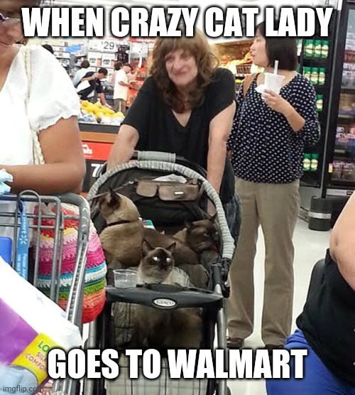 CAT LADY AT WALMART | WHEN CRAZY CAT LADY; GOES TO WALMART | image tagged in cats,funny cats | made w/ Imgflip meme maker