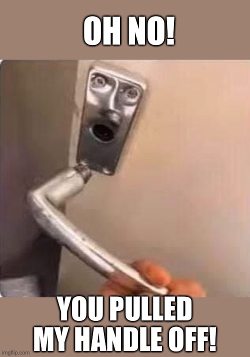 Flying off the handle | OH NO! YOU PULLED MY HANDLE OFF! | image tagged in funny picture,funny memes | made w/ Imgflip meme maker