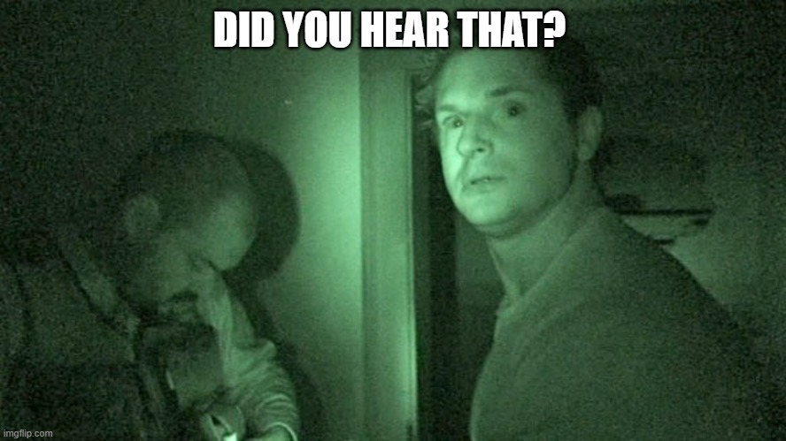 ghost adventures | DID YOU HEAR THAT? | image tagged in ghost adventures | made w/ Imgflip meme maker